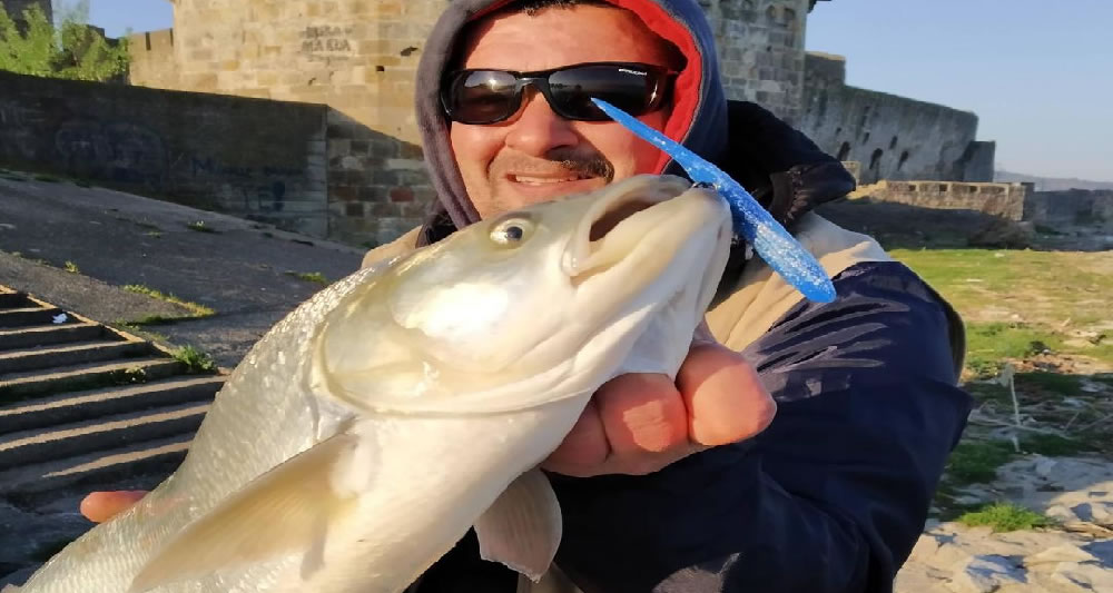 PO­ČE­LA PRO­LEĆ­NA SE­ZO­NA VA­RA­LI­ČA­RE­NJA BU­CO­VA